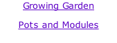 Growing Garden Pots and Modules