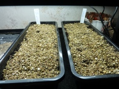 Click to enlarge image