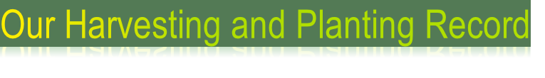 Our Harvesting and Planting Record
