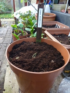 Click to enlarge image