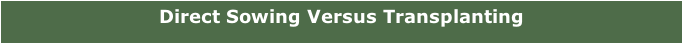 Direct Sowing Versus Transplanting