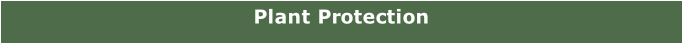 Plant Protection