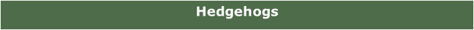 Hedgehogs