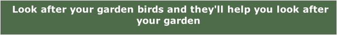 Look after your garden birds and they'll help you look after your garden