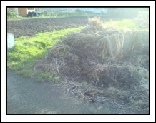  Make a Compost Heap