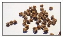 Sowing Seeds - Part 2