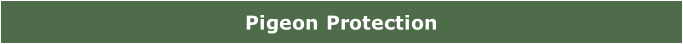 Pigeon Protection