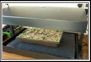 Growing - Indoor Light Garden