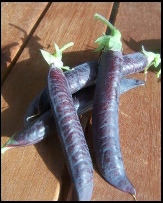 Growing - Coloured vegetables