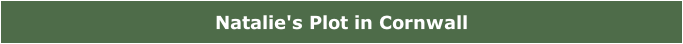 Natalie's Plot in Cornwall