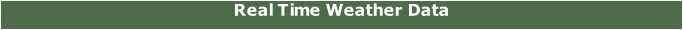 Real Time Weather Data