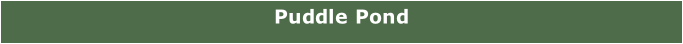 Puddle Pond