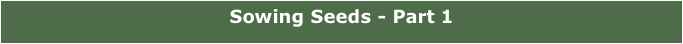 Sowing Seeds - Part 1