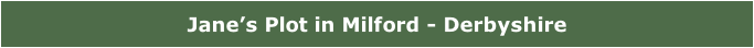 Jane’s Plot in Milford - Derbyshire