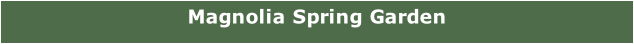 Magnolia Spring Garden